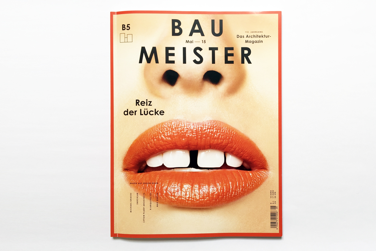 Baumeister cover