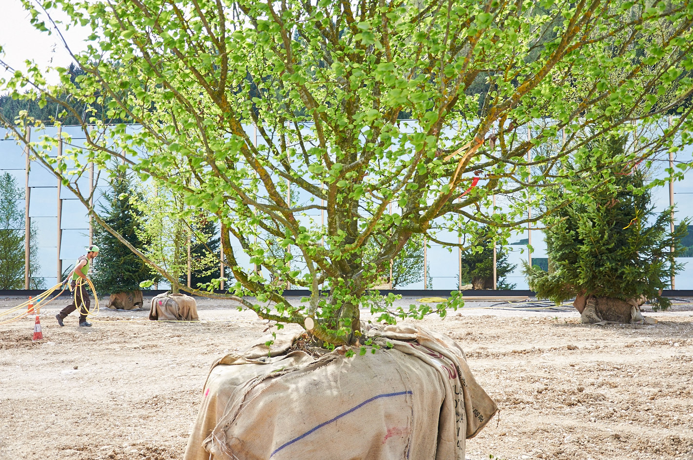 making of: gruene erde - new headqarters