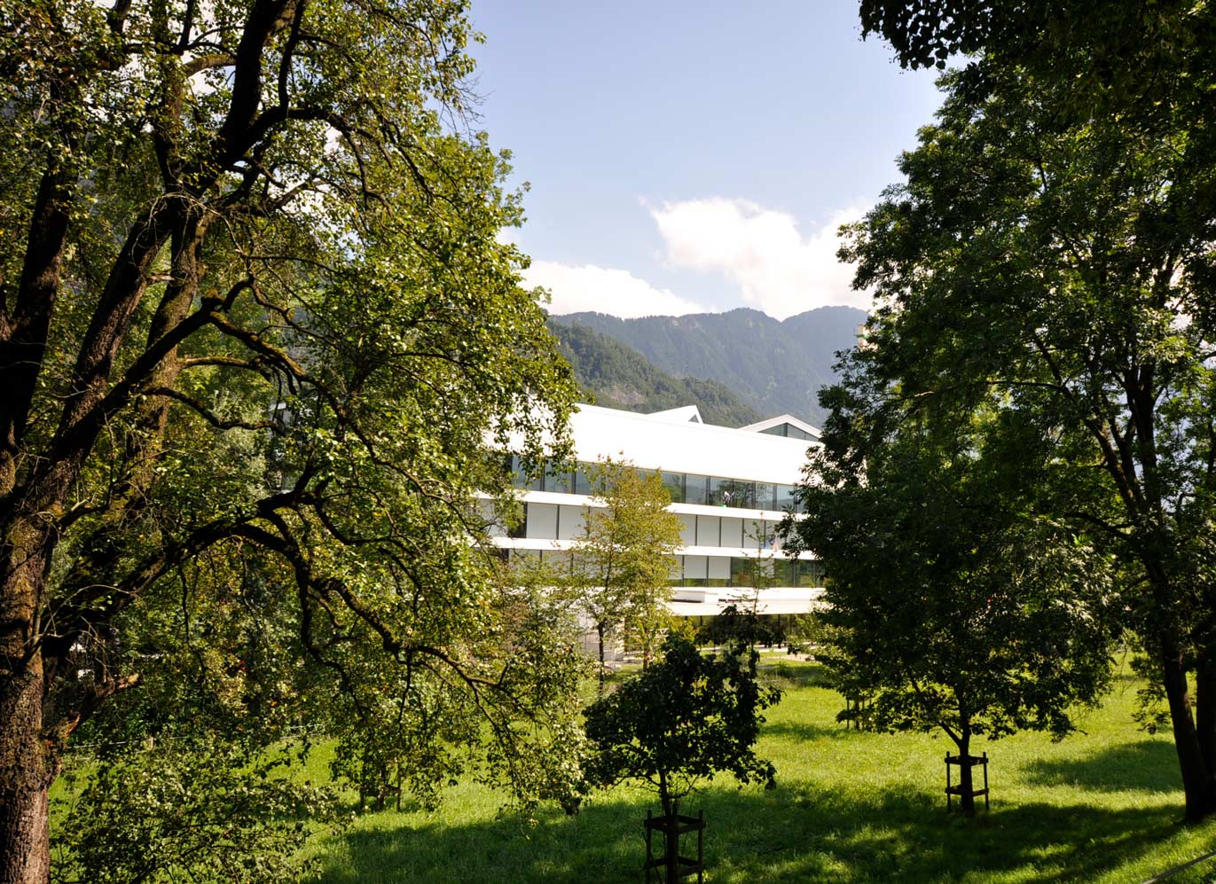 terrain-First-advisory-headquarter-nature-landscape